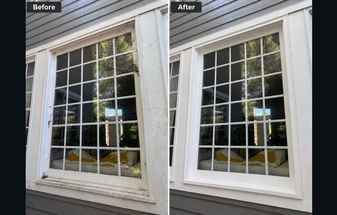 Before and after window cleaning by Squeegee Guys