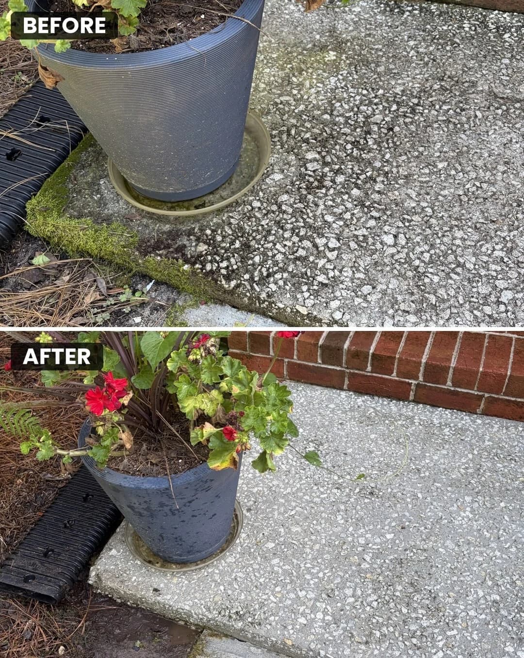 Before and after pressure washing a concrete area beside a planter in Charleston